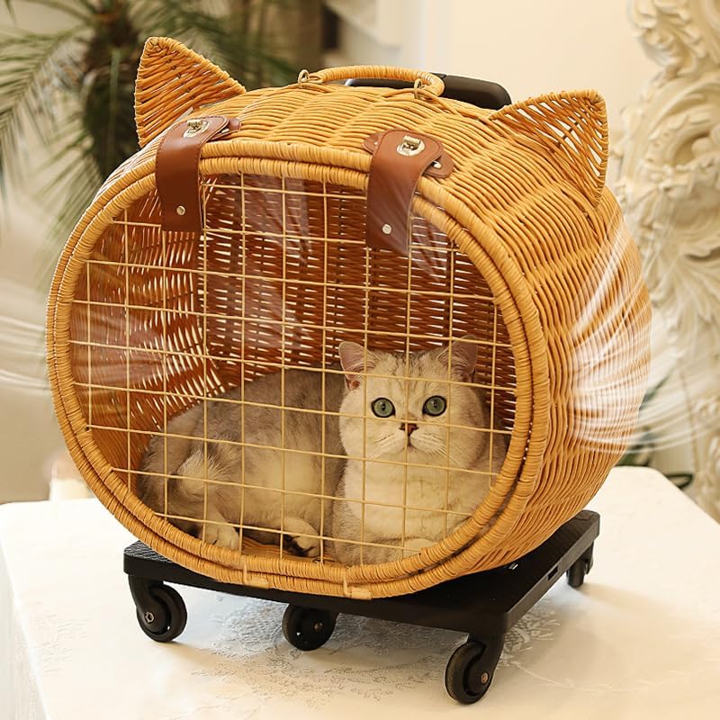 OKACAGE】爬虫類ケージ 1200×450×450 防水 Takeko【OKA CAGE